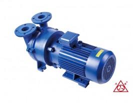 安徽2BV水環(huán)真空泵